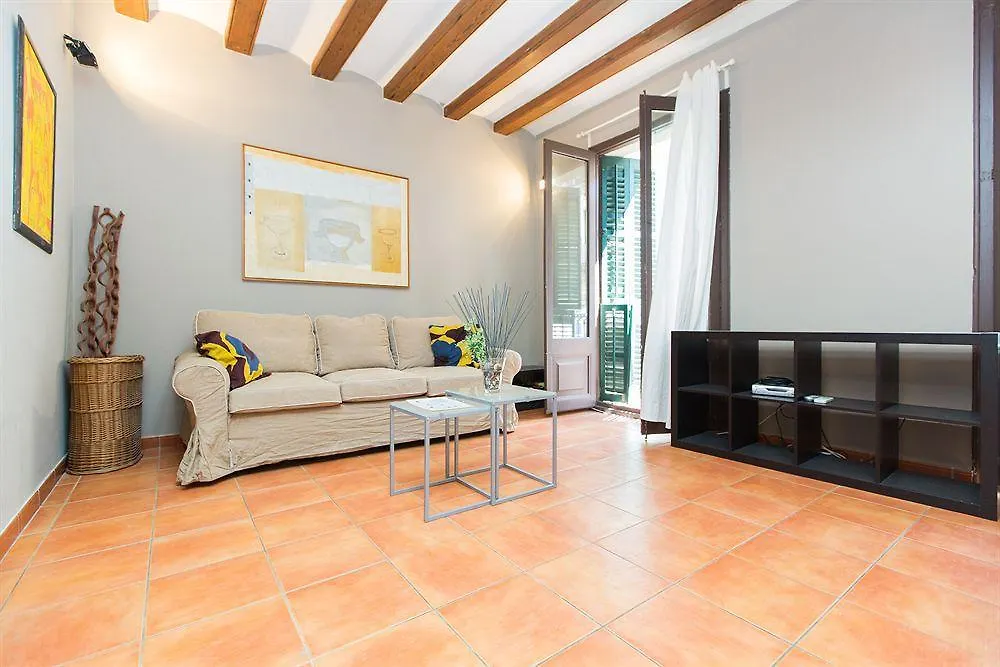 Ainb Raval Hospital Apartments Barcelona 0*,