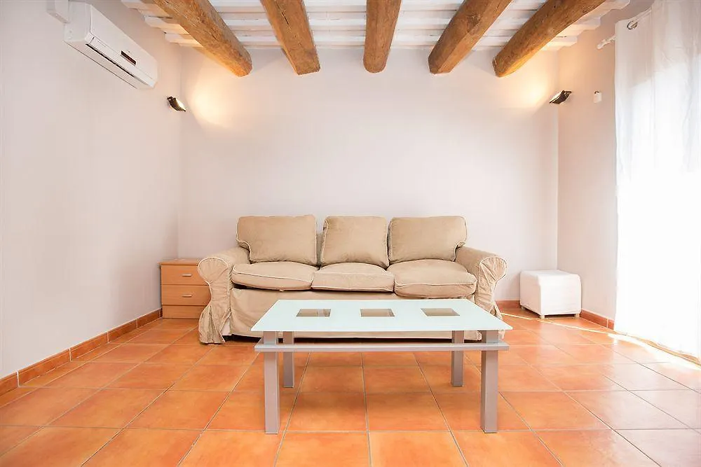 Ainb Raval Hospital Apartments Barcelona